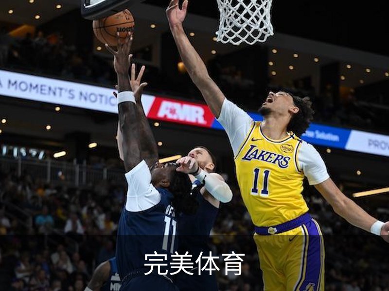 完美体育简介